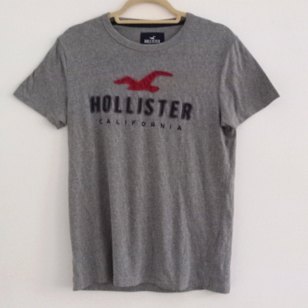 Hollister California Vtg Gray Y2K Unisex T-shirt Tee Top